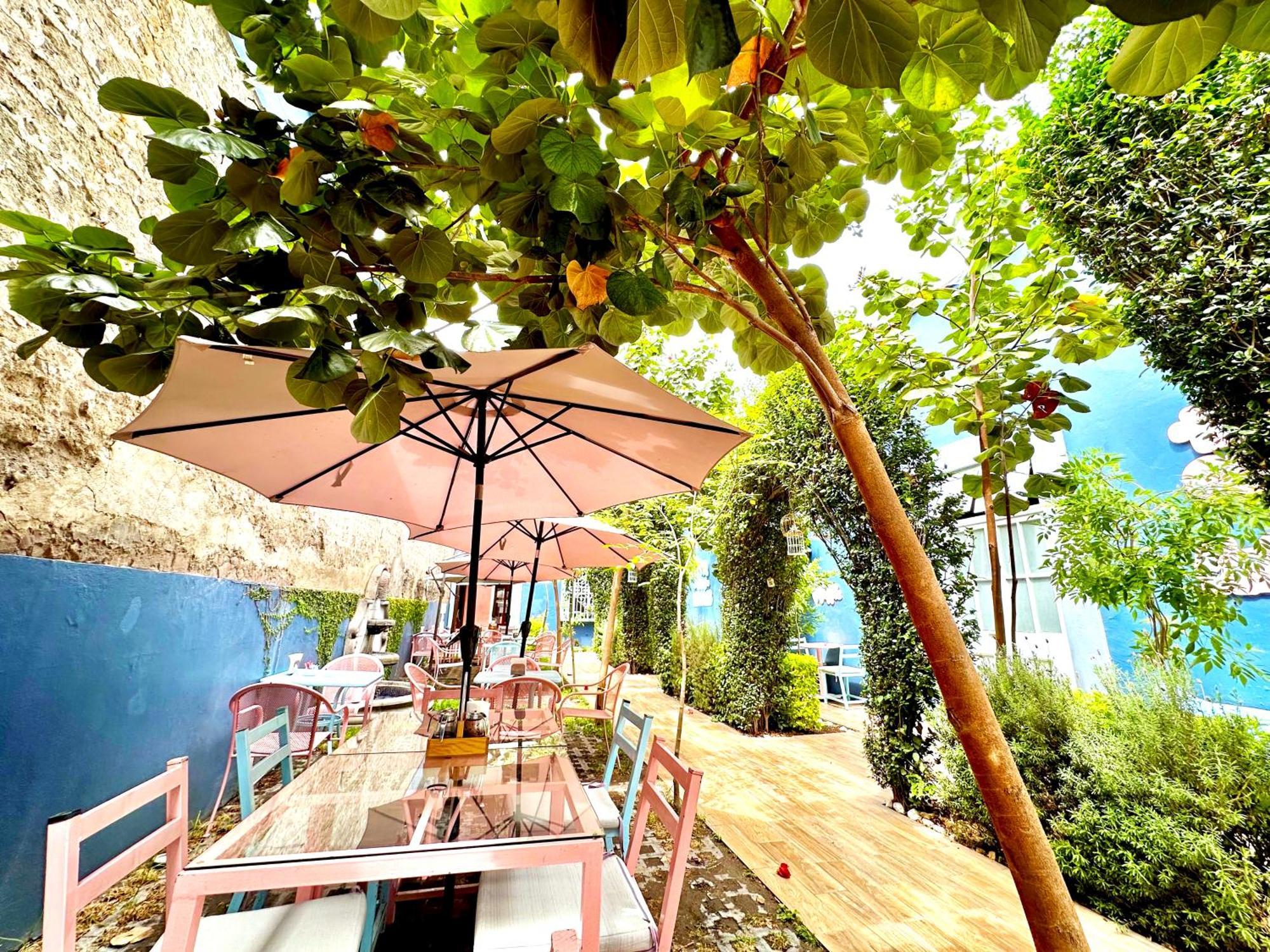 Xoxula By Inmense Otel Cholula Dış mekan fotoğraf